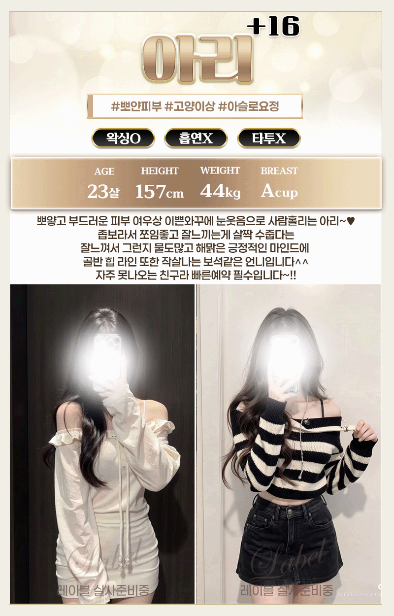 아리.gif